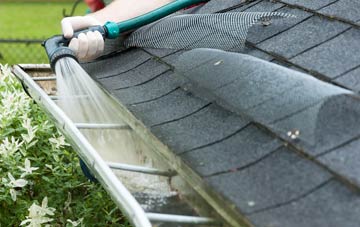 Ruisaurie gutter cleaning costs