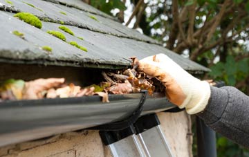 gutter cleaning Ruisaurie, Highland